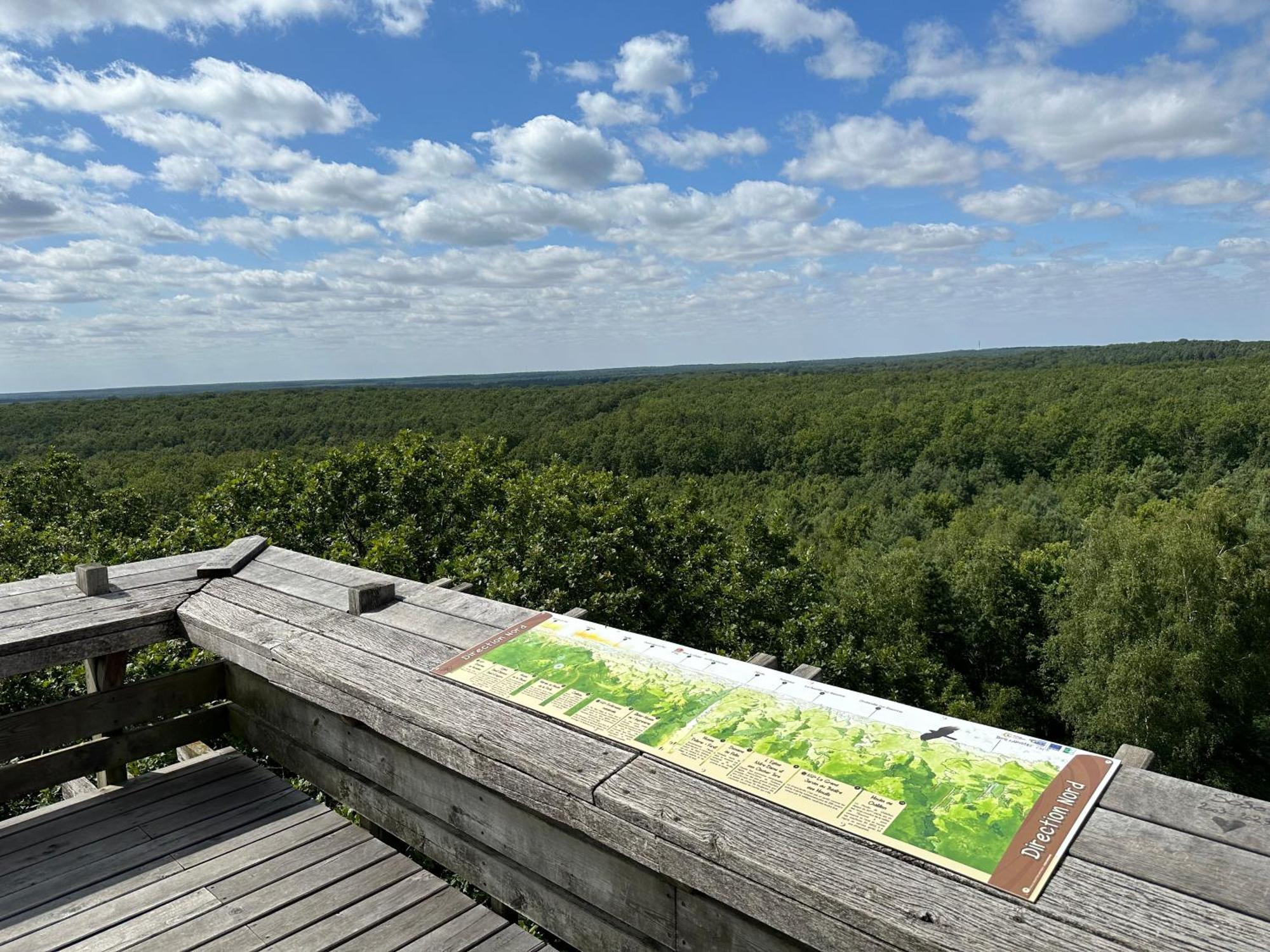 *** Domaine Des Noyers - Proche Centre Ville Châteauneuf-sur-Loire Exteriör bild